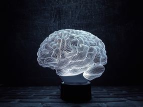 Сменная пластина для 3D светильников "Мозг" 3DTOYSLAMP