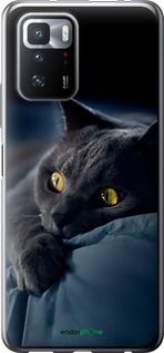 Чохол на Xiaomi Poco X3 GT Димчастий кіт "825u-2511-2448"