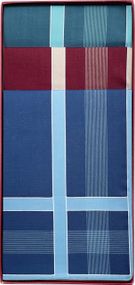 Чоловічі бавовняні носові хустинки Guasch 104.96 D.02