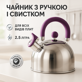 Чайник стальной со свистком на плиту Unique, Чайник для чайной церемонии со свистком BV-92