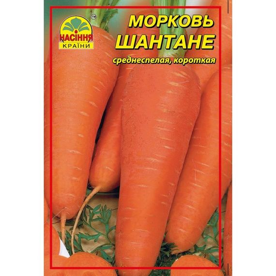 Насіння моркви Шантане 0,5 кг | Зображення 2