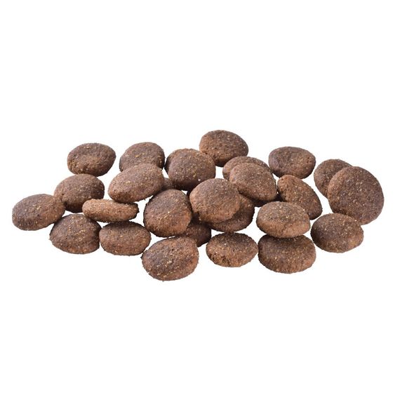 Корм сухий Brit Care Dog Grain-free Adult Large Breed для дорослих собак великих порід беззерновий з лососем 3 кг | Зображення 1