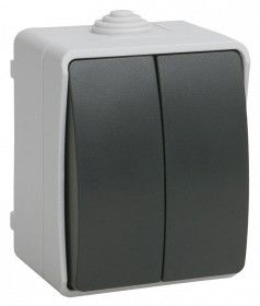 Вимикач IEK двохклавішний сірий IP54 (ВС20-2-0-ФСр)