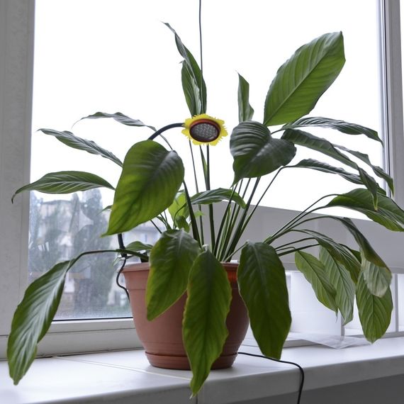 Фитосветильник для растений LED IP53 LED-36/3W Fito GROW | Зображення 2