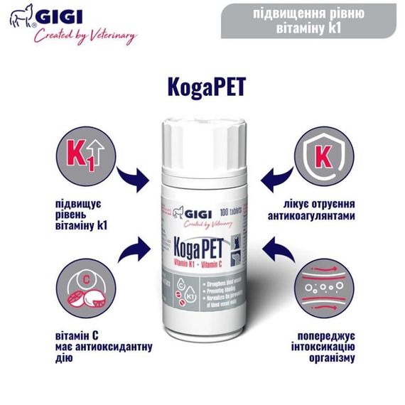 Витамины с антиоксидантным действием для собак и котов GiGi KogaPET 100 табл | Зображення 1