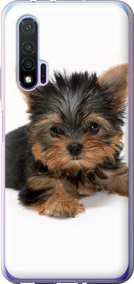 Чехол на Huawei Nova 6 Щенок йоркширского терьера "931u-1821-17620"