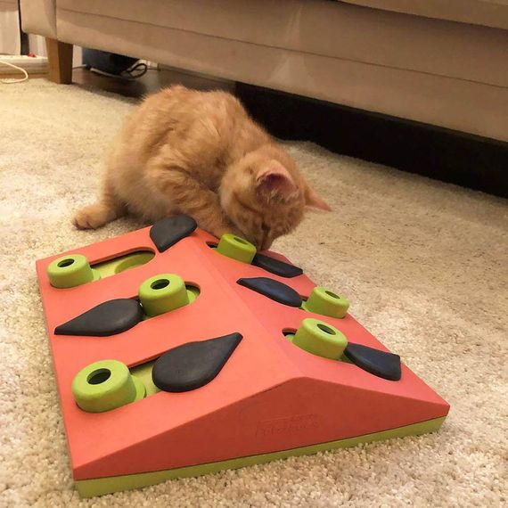 Игрушка интерактивная для котов OutwardHound Nina Ottosson Puzzle & Play Melon Madness | Зображення 3