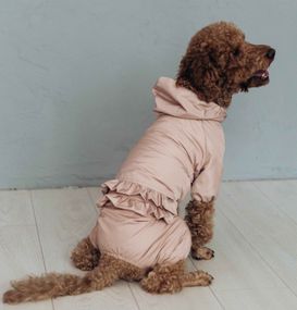 Дощовик ДЛЯ ДIВЧАТ рюша пудра MD-21