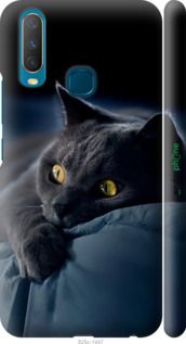 Чохол на Vivo Y15 Димчастий кіт "825m-1791-2448"