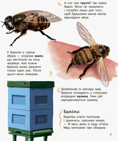 Детская энциклопедия про насекомых 614014 для дошкольников | Зображення 1