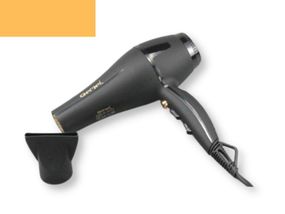 Фен професійний для волосся з насадкою GEMEI GM-1763 2200 Вт чорний (GM-1763)