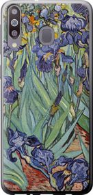 Чехол на Samsung Galaxy M30 Винсент Ван Гог. Ирисы "161u-1682-17620"