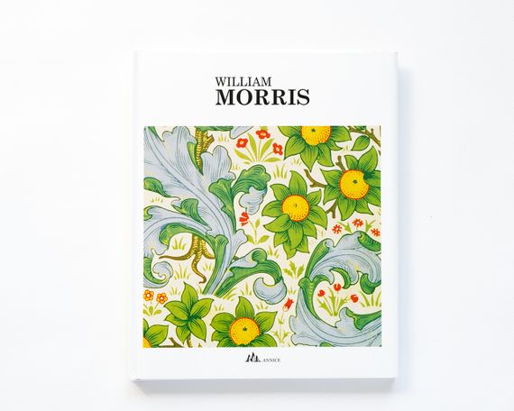 Книга по истории дизайна Уильям Моррис Morris книги искусство культура