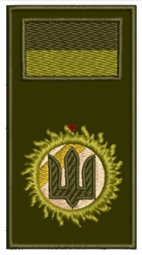 Шеврон Погон Заглушка