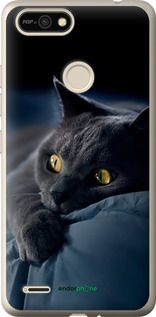 Чохол на Tecno Pop 2F B1F Димчастий кіт "825u-2391-2448"