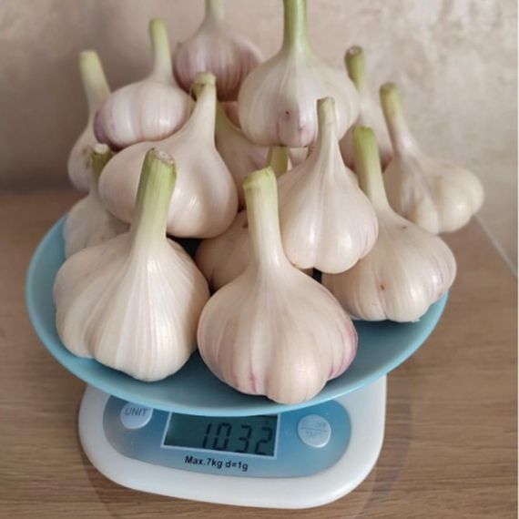 Ваги кухонні електронні до 7 кг ACS 125 / Настільні ваги з чашею для кухні | Зображення 1