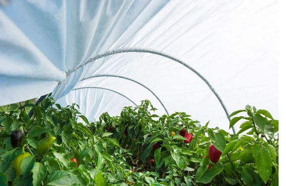 Парник Shadow 60 г/м2 для дачі 4 м ПАВ00016 | Зображення 5