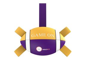 Іграшка для собак Misoko&Co Rugby Ball, 41 см, фіолетовий