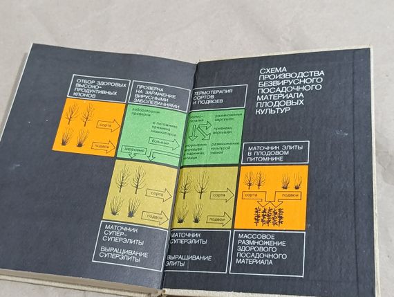 Татарину А. Н., Зуїв В. Ф. Поживник плодових і ягідних культур 1984 | Зображення 5