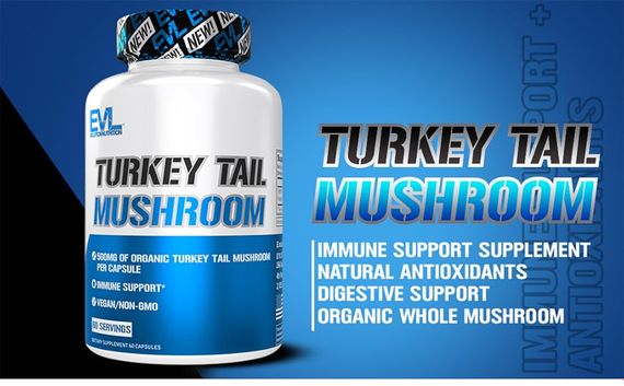 Трутовик різнокольоровий Evlution Nutrition Turkey Tail Mushroom, 500 mg, 60 Capsules | Зображення 2