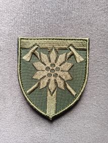 Шеврон 128 ОГШБ