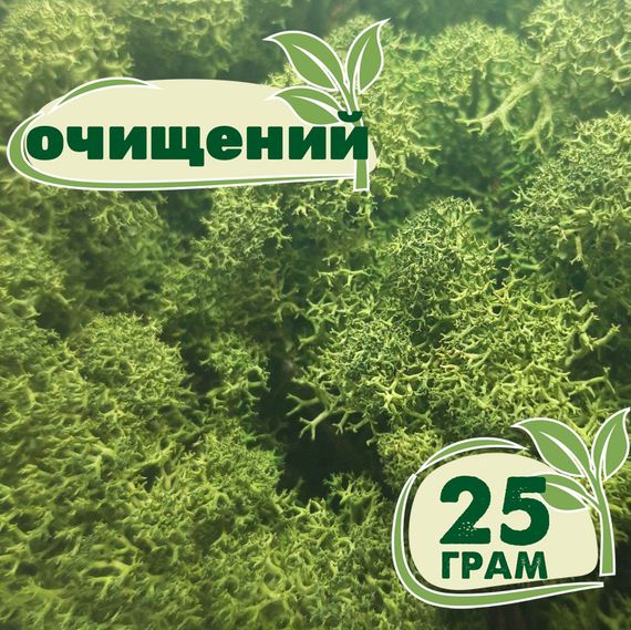 Очищений стабілізований мох ягель Зелений темний 25 грам
