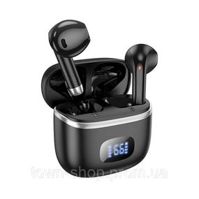 Наушники Bluetooth HOCO EQ1, Black, Кейс