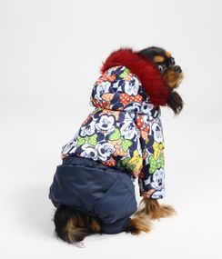 Зимовий комбінезон на хутрі Міккі AM-25