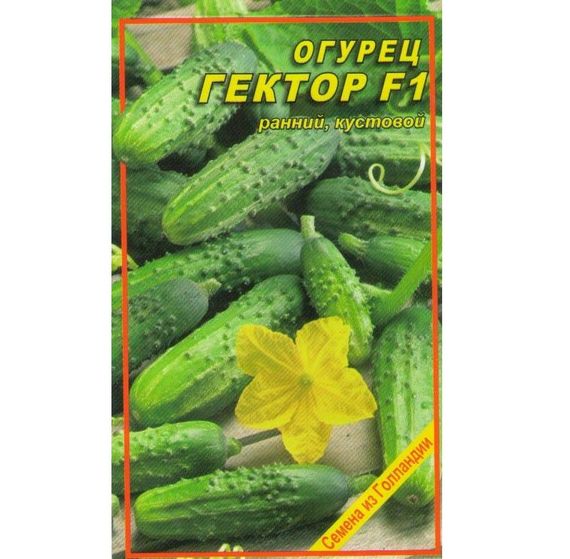 Насіння огірка Гектор F1 10 шт.