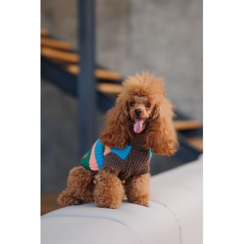 Свитер Pet Fashion Happy для собак, размер M | Зображення 3