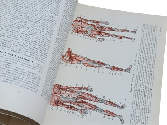Популярна медична енциклопедія  Ф. І. ПЕТРОВ, А. Ф. СЕРЕНКО 1968 | Зображення 5