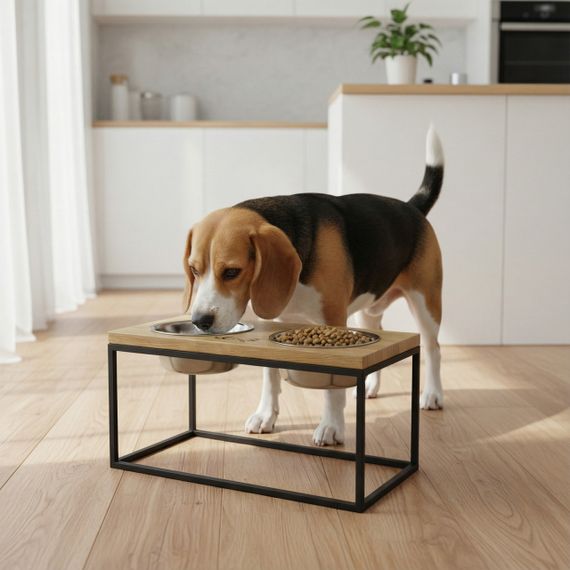 Миски на подставке для средних и больших собак Hollky Base L (2 × 0,95 л) BL-422120-BLNT | Зображення 1