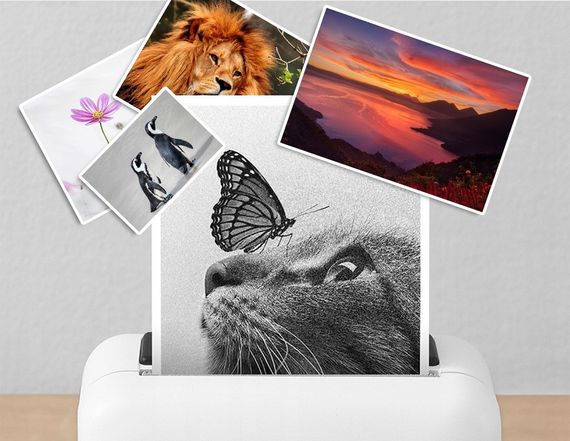 Чернила (краска) V.Print для Epson L6190 EcoTank ITS Чорне Black (BK) 127мл | Зображення 1