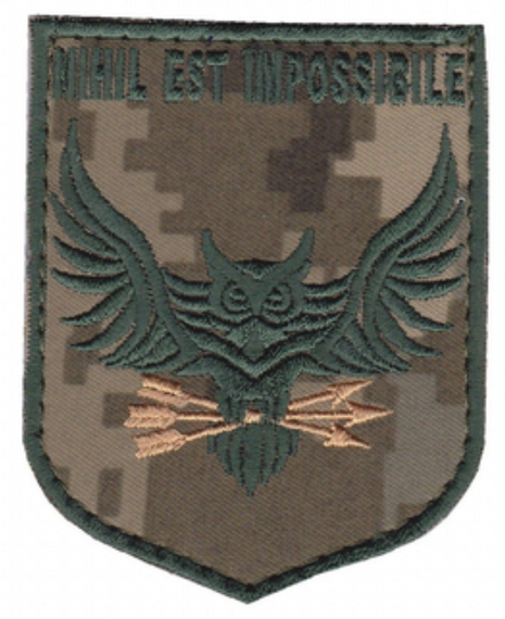 Шеврон 130 отдельный разведывательный батальон