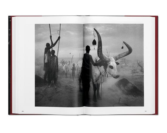 Подарункові книги для фотографів Sebastiao Salgado. Genesis альбоми відомих фотографів Себастьян Сальгадо | Зображення 2