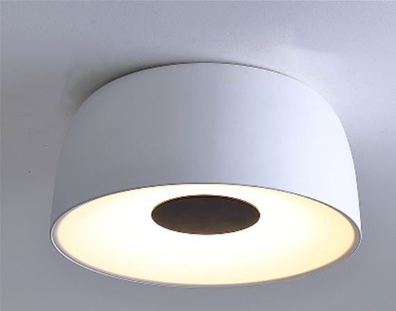 Светильник настенно-потолочный светодиодный накладной BL-841C/32W WW WH | Зображення 4
