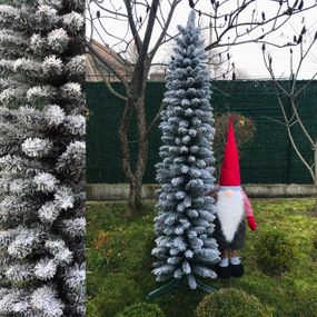 Ялинка Альпійська вузька 220 см засніжена