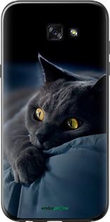 Чохол на Samsung Galaxy A7 (2017) Димчастий кіт "825t-445-2448"