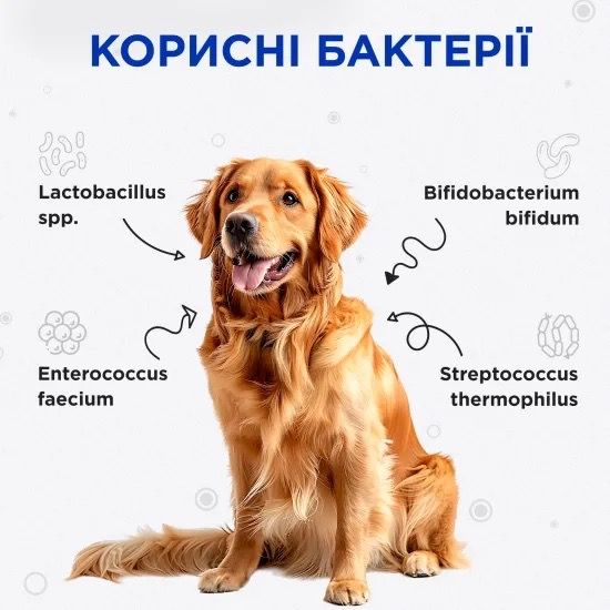 Витамины с пробиотиками для собак и котов ModeS Kombiflor Probiotic, 15 шт х 2 гр | Зображення 2