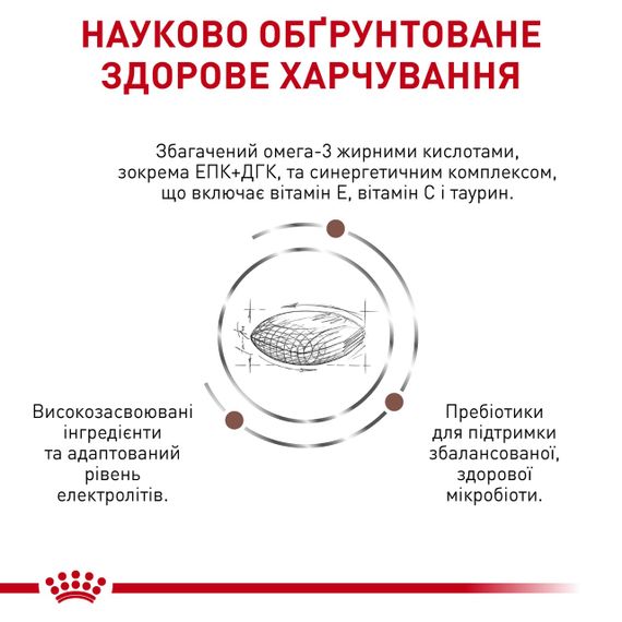 Cухий корм для собак малих порід із захворюваннями ШКТ Royal Canin Gastrointestinal Low Fat Small Dog, 1.5 кг | Зображення 3