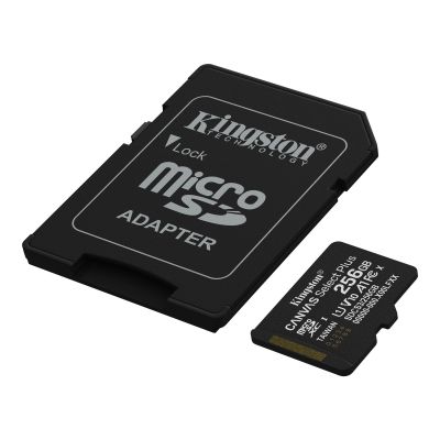 Карта памяти Kingston 256GB microSDXC class 10 UHS-I V10 A1 Canvas Select Plus (SDCS3/256GB) | Зображення 1