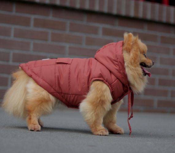 Жилет кишеня цегляний колiр G-80 | Зображення 1