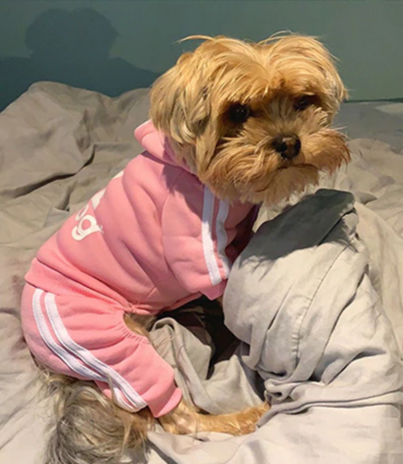 Костюм спортивний для собак Adidog рожевий S | Зображення 4