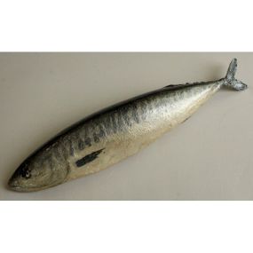 Муляж Скумбрія