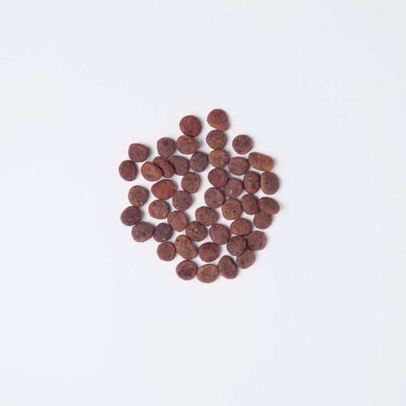 Корм сухий Carnilove True Fresh Cat Fresh Turkey д/дорослих котів індичка 4,8 кг | Зображення 1