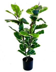 Фикус разноцветный Эластика Белиз (Belize) искусственный 95 см