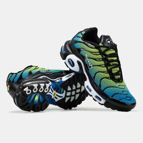 Чоловічі кросівки Air Max TN Plus весна / літо / осінь 1335 45 29