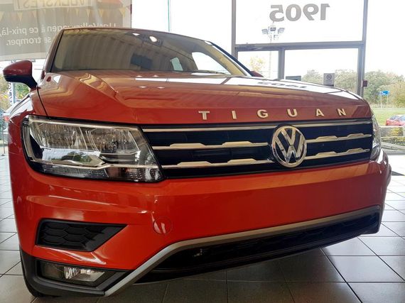 Молдинг, орнамент, лого на капот VOLKSWAGEN TIGUAN, VOTI18LOG | Зображення 3