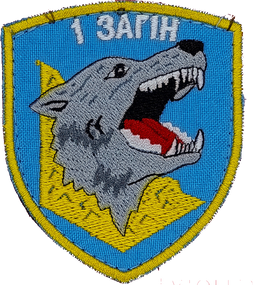 Шеврон 1 загоі / синій