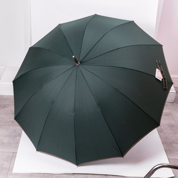 Класична парасолька-тростина з чохлом напівавтомат з поліестеру міцна надійна 12 спиць діаметр 120 см Зелений HP-23-16GR